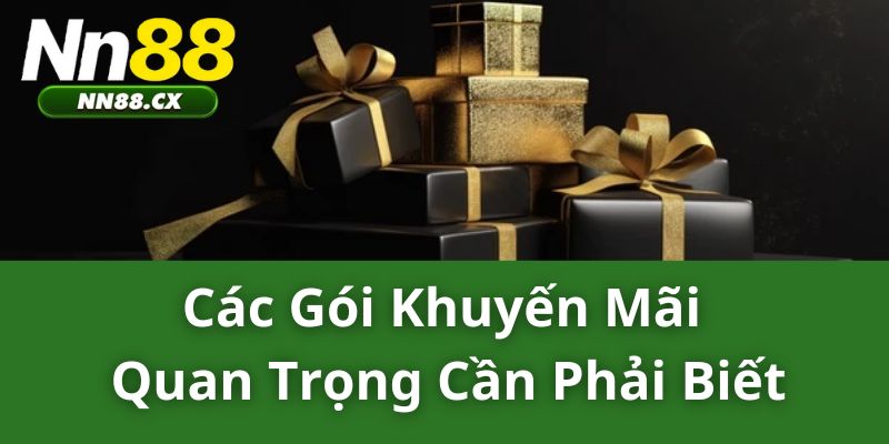 Các gói khuyến mãi NN88 quan trọng cần phải biết