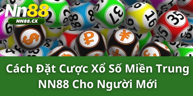 Cách Đặt Cược Xổ Số Miền Trung Cho Người Mới