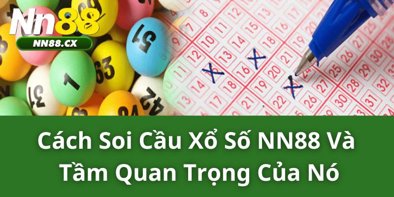 Cách Soi Cầu Xổ Số NN88 Và Tầm Quan Trọng Của Nó